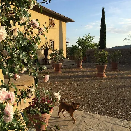 Villa Ronzanello Dimora Medicea *